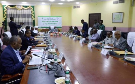 الزكاة: 113% نسبة الجبايات خلال التسعة اشهر الاولى من العام الجاري