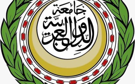 جامعة الدول العربية تدين انتهاكات ونهج المليشيا الدموي والشاذ تجاه المواطنين بولاية الحزيرة الجزيرة