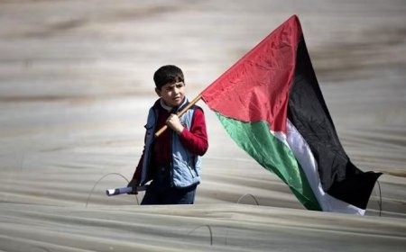 أعلى الدول العربية في معدلات الإنجاب.. السودان وفلسطين ومصر