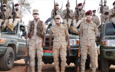 حملة نسوية تتبنى وسائل جديدة لمناهضة تسليح المدنيين في السودان
