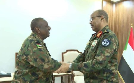 توجيهات سيادية بالاستجابة العاجلة لمطلوبات الموسم الزراعي بالجزيرة