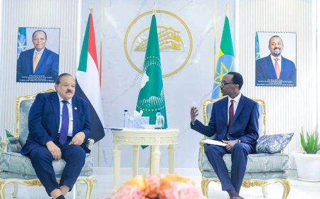 وزير الخارجية: إجتماعي بوزير الخارجية الإثيوبي كان مثمراً