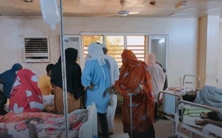 تواصل حملات المكافحة .. القضارف : ( كوليرا ) وضنك وملاريا !