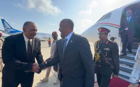 البرهان يعود إلى البلاد