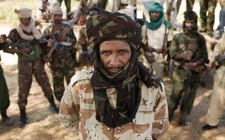 بينهم شقيقان.. المليشيا تقتل (3) مواطنين بالجزيرة