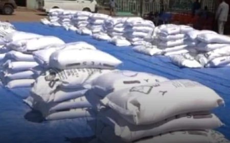 200 طن من المواد الإغاثية تصل جنوب كردفان