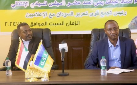 عضو بالسيادي: بشريات كبيرة خلال الأيام المقبلة