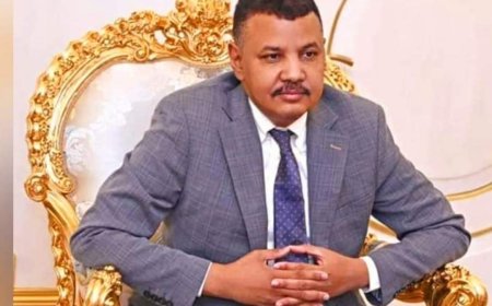 يوسف عزت: الحركة الإسلامية تدير العمل السياسي والمدني بالدعم السريع