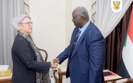 عقار يُطلع مسؤولة أوربية على مسببات الحرب في السودان