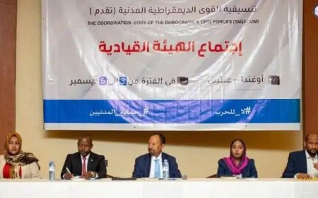 خلافات حاده تضرب اجتماعات تنسيقية "تقدم"