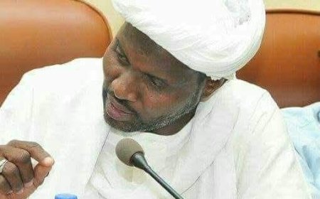 عبد الماجد عبد الحميد يكتب...مشهد مليشي بالكامل