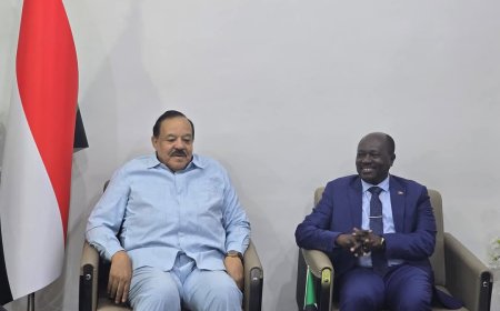 الداخلية: أتيام متحركة لإستخراج الجوازات للسودانيين بالخارج