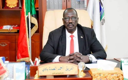 لجنة لمحاربة شائعات المليشيا بالنيل الأزرق