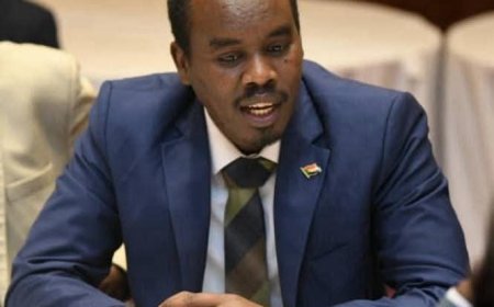 تعيين وزير جديد للتنمية العمرانية والطرق والجسور