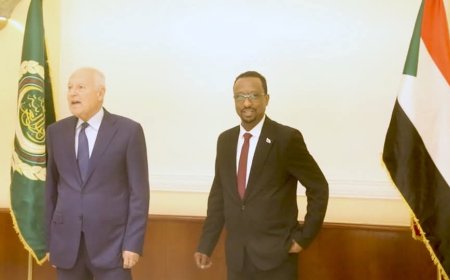 الإعسير: نريد أن نجدد لاءآت الخرطوم الثلاث عبر الجامعة العربية