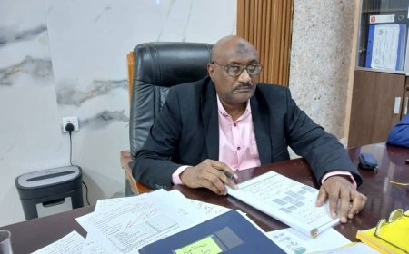 إعادة تشكيل لجنة الطواريء الصحية بالخرطوم