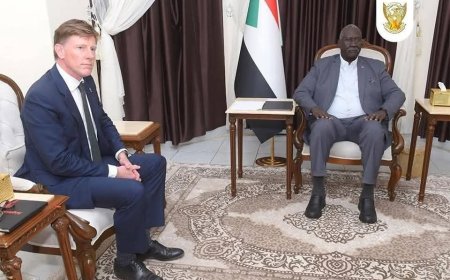 عقار لمسؤول بريطاني: إذا رغبتم في إنهاء معاناة السودانيين عليكم بالتواصل مع الإمارات لوقف الدعم اللوجستي للمليشيا
