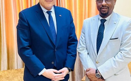 الإعيسر: ناقشت مع المبعوث السويسري تتبع القطع الأثرية المسروقة لإستعادتها