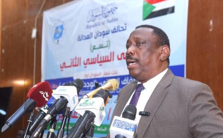 أبو قردة:الدعم الإماراتي للمليشيا يتطلب اصطفاف وطني
