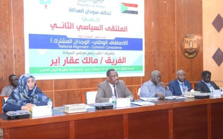 عقار: تشاد منعت عقد امتحانات الشهادة السودانية في أبشي