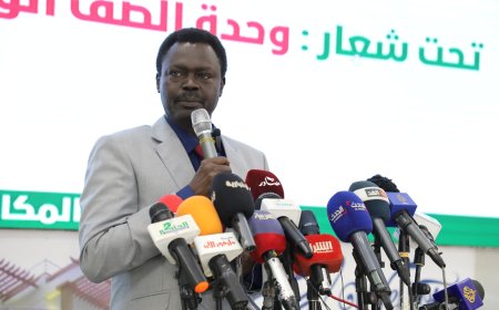 مناوي: خطة المليشيا فصل دارفور والانقضاض على بقية السودان