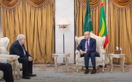 إنعقاد الاجتماع التشاوري الثالث لتنسيق مبادرات السلام في السودان 