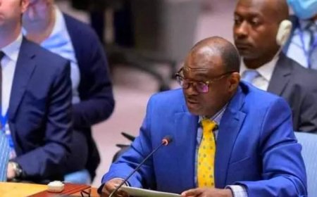 الحارث إدريس: الإمارات تستخدم 5 مهابط سرية في نيالا لتزويد المليشيا بالسلاح