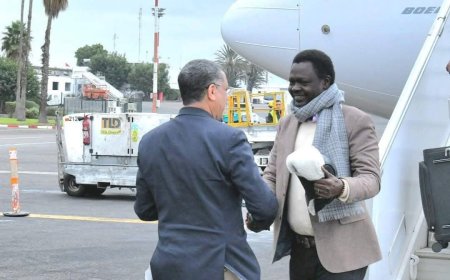 مناوي يصل المغرب