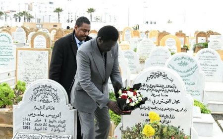 مناوي يزور قبر "الفيتوري" بالرباط