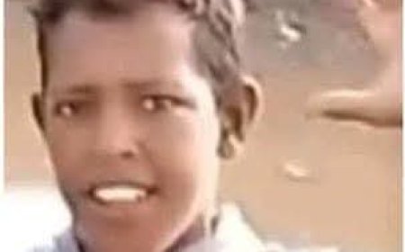 المليشيا تغتال طفل بالجزيرة وتنهب أغنامه