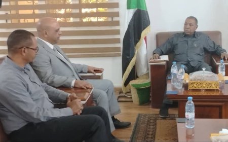 مصر: لن السماح لأي جهة بالحاق الضرر بالسودان