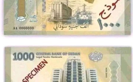محافظ البنك المركزي يصدر قراراً بالغاء لجنة حرق وإبادة العملة المستبدلة .. ومصادر تكشف التفاصيل