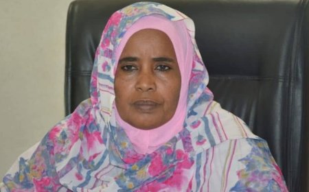 مالية القضارف: التحصيل الورقى افقد الولاية العديد من الموارد المالية
