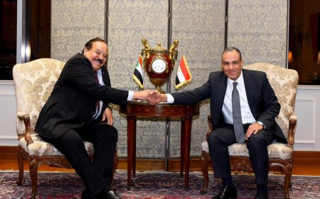 الخارجية المصرية:منخرطون بفاعلية في الجهود الإقليمية والدولية لتحقيق الاستقرار في السودان