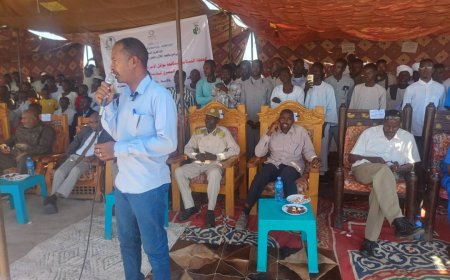 الصحة بالقضارف: وفاة وإصابة "3064" شخص بالكلازار في الولاية