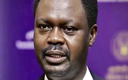 مناوي يطالب المجتمع الدولي بتحرك عاجل لإنهاء جرائم المليشيا بحق النازحين في دارفور