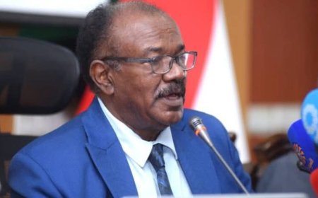 وزير الزراعة: المجاعة والسودان لا يرتبطان مع بعضهما