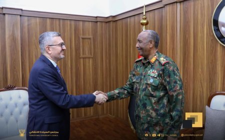 البرهان يلتقي مسؤول تركي رفيع