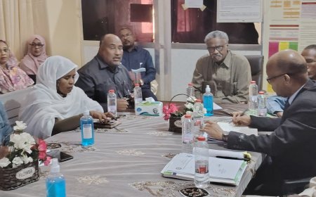 والي القضارف يوجه وزارة الصحة بتنفيذ حملة كبرى للقضاء على نواقل الأمراض بالولاية