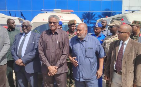 مشروعات خدمية من الشركة السودانية للموارد المعدنية لمحلية قلع النحل