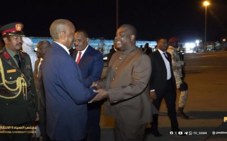 البرهان يتوجه إلى مالي