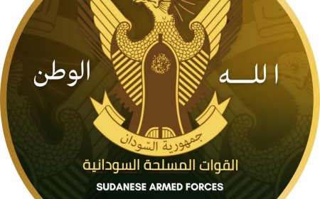 الجيش: القوات تعمل الآن على نظافة جيوب المتمردين داخل مدني