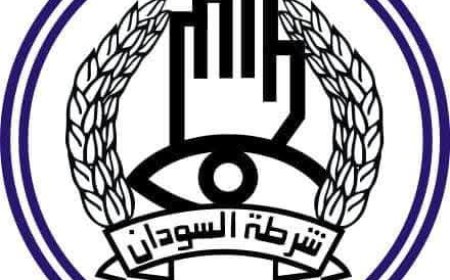 الشرطة: شرعنا في الترتيبات لعودة الخدمات الشرطية بصورة كاملة في ود مدني