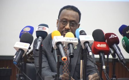 الإعيسر: تحية تقدير وإجلال لأبطال قوات "درع السودان"