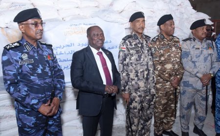وزير الداخلية: الجيش لن تهزمه مليشيا متمردة ترأسها أسرة واحدة وقوامها مرتزقة ولصوص