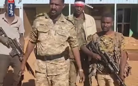 كيكل: حررنا تمبول من المليشيا وسنلاحقها إلى الخرطوم