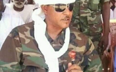 موسي هلال: الجيش لن ينكسر "بالمرتزقة والشعوذة والباطل"