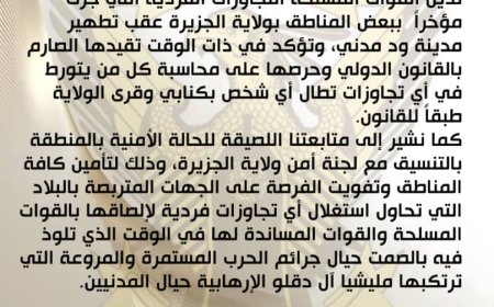 الجيش يصدر بيان حول حادثة الكنابي بالجزيرة