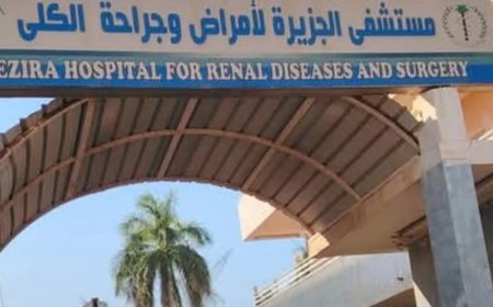 حكومة الجزيرة: إستئناف العمل بمستشفى الكلى بمدينة ودمدني