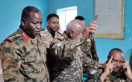 الجيش: تحرير مدينة بوط بالنيل الأزرق من دنس المليشيا